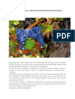 Biocenoza Viticolap - Soiuri Pentru Vin Si PT Masa