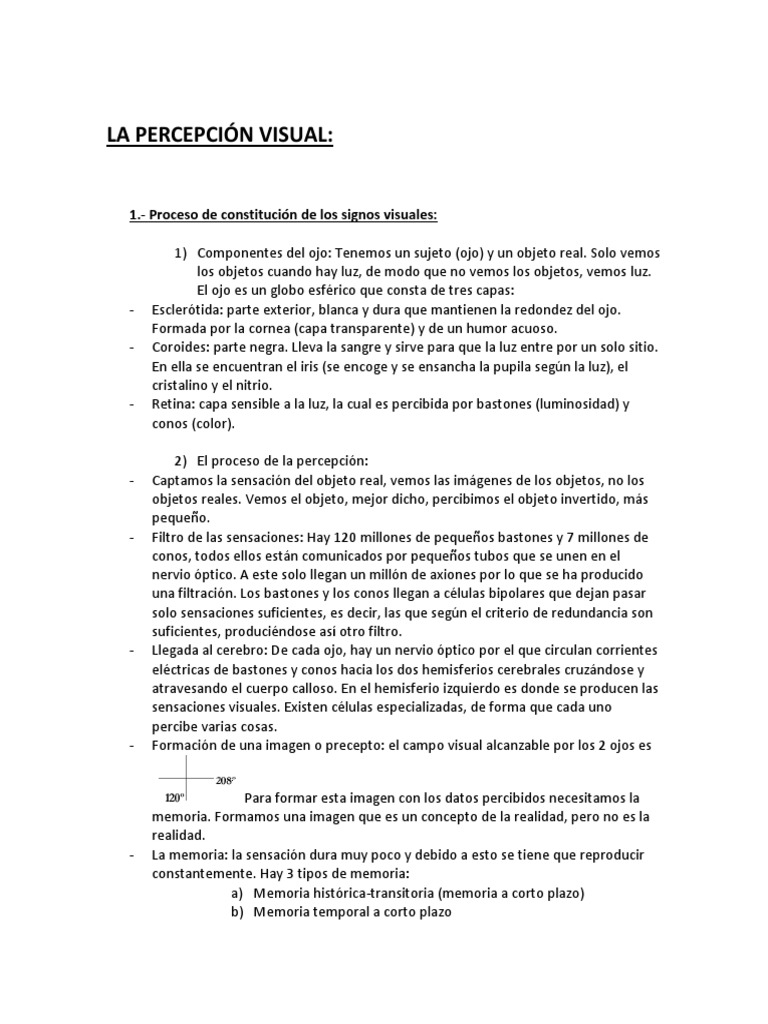 La Percepción Visual Descargar Gratis Pdf Color Ojo Humano