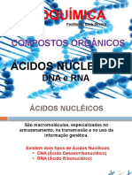 Biomoléculas-DNA e RNA