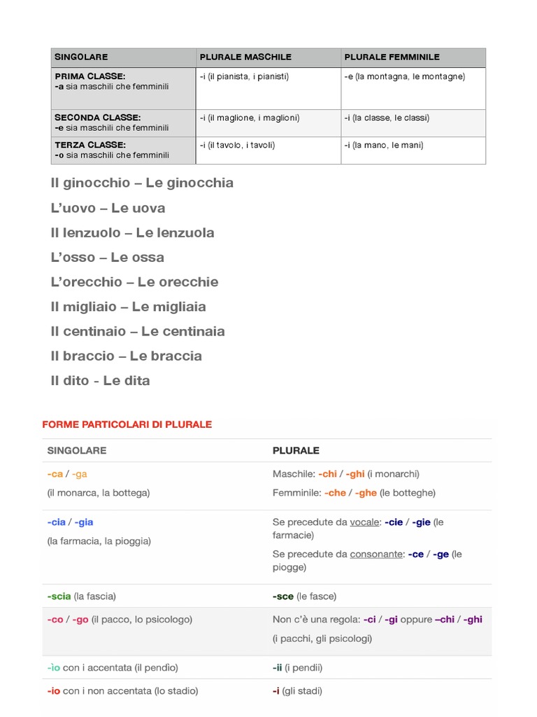 PLURALE in italiano PDF