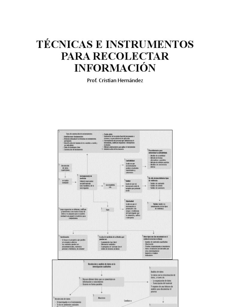 Técnicas de Recolección de Datos | PDF