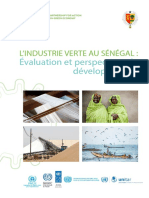 L'industrie Verte Au Sénégal