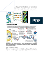 Unidad V - Herencia y Genetica