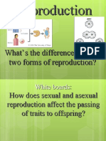 Asexual Vs Sexualreproduction PPT 7life