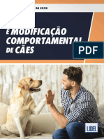 Treino Modificação Comportamental Cães