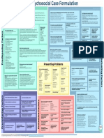 Biopsychosocial Case Formulation Cheatsheet - No Links