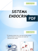 Sistema Endocrino