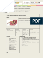 Técnica Quirúrgica de Urología