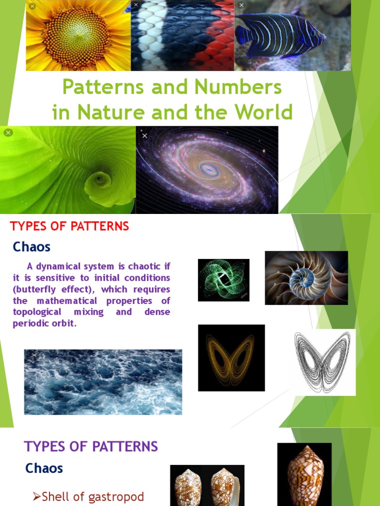 Patterns and Numbers in Nature and The World CH 1 January 2023.part2