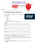 Circulatory Activity Sheet