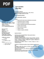 CV Luis Lisandro May May