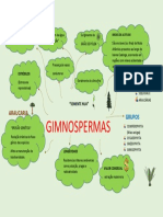 GIMNOSPERMAS Mapa Mental PDF