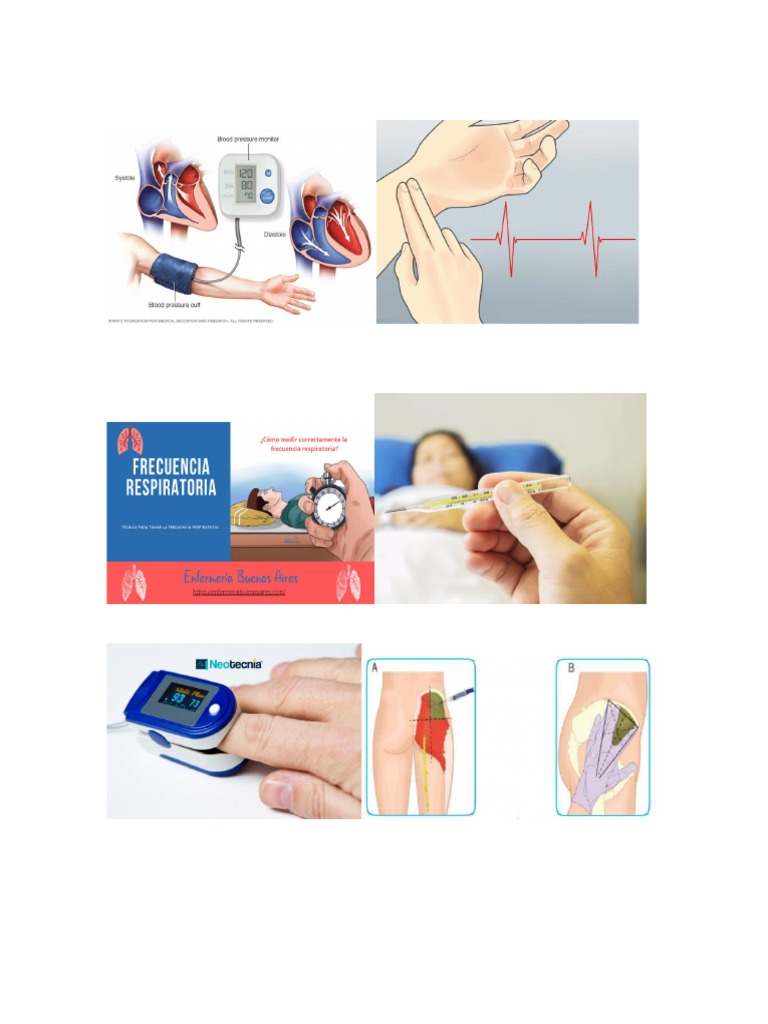 Presión Arterial Sistólica y Diastólica | PDF