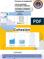 Cohesión GRUPO A Exposicion