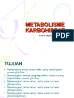 Metabolisme Karbohidrat 1