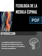 Fisiologia de La Medula Espinal