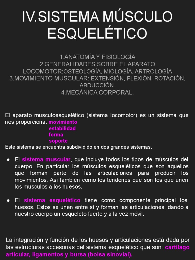 Sistema Musculo Esqueletico | PDF | Articulación | Músculo esquelético