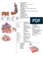 Roams Review All Medical Subjects VD Agrawal Reetu Agrawal 8th Edition 0  1pdf, PDF, Aorta