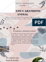 Instituto Motolinía: Maltrato Y Abandono Animal