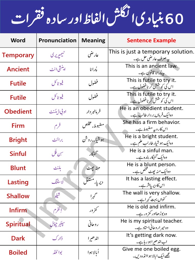 60 Essential English Words and Sentences | PDF