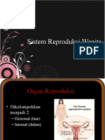 Sistem Reproduksi Wanita