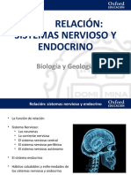 Sistema Nervioso y Endocrino