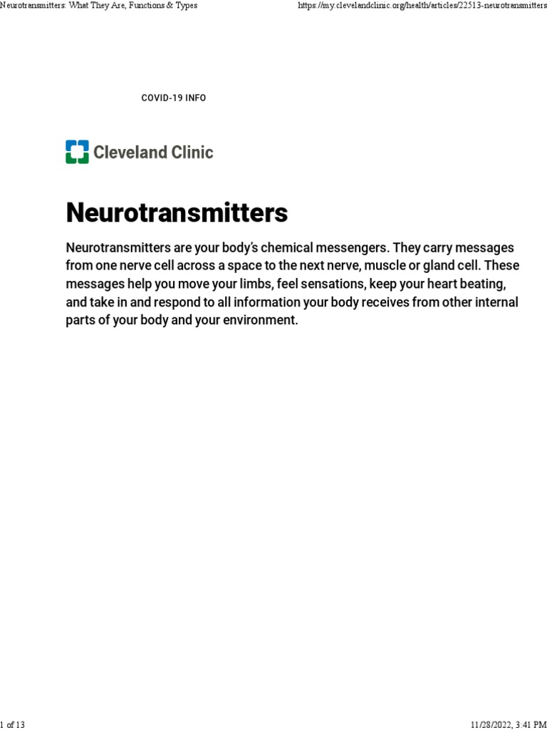 NEUROTRANSMITTER TYPES AND FUNCTIONS visual data 2