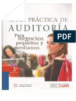 guia_practica_de_auditoria_para_negocios_pequeños_y_medianos