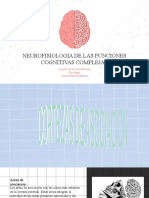 Unidad #3 Neurofisiología