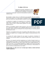 La culpa es de la vaca: cómo la industria del cuero en Colombia encontró culpables para sus problemas de calidad y precio