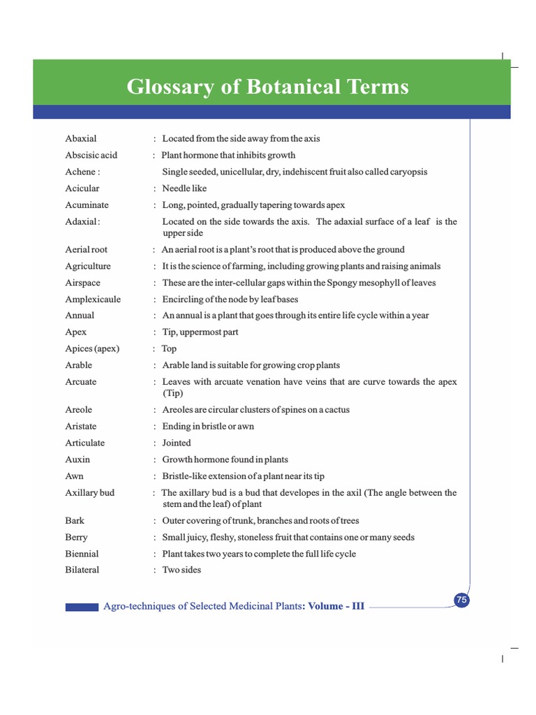 Glossary of Botanical Terms PDF Leaf Flowers