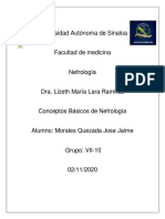Morales Quezada Jose Jaime Conceptos Basicos de Nefrologia