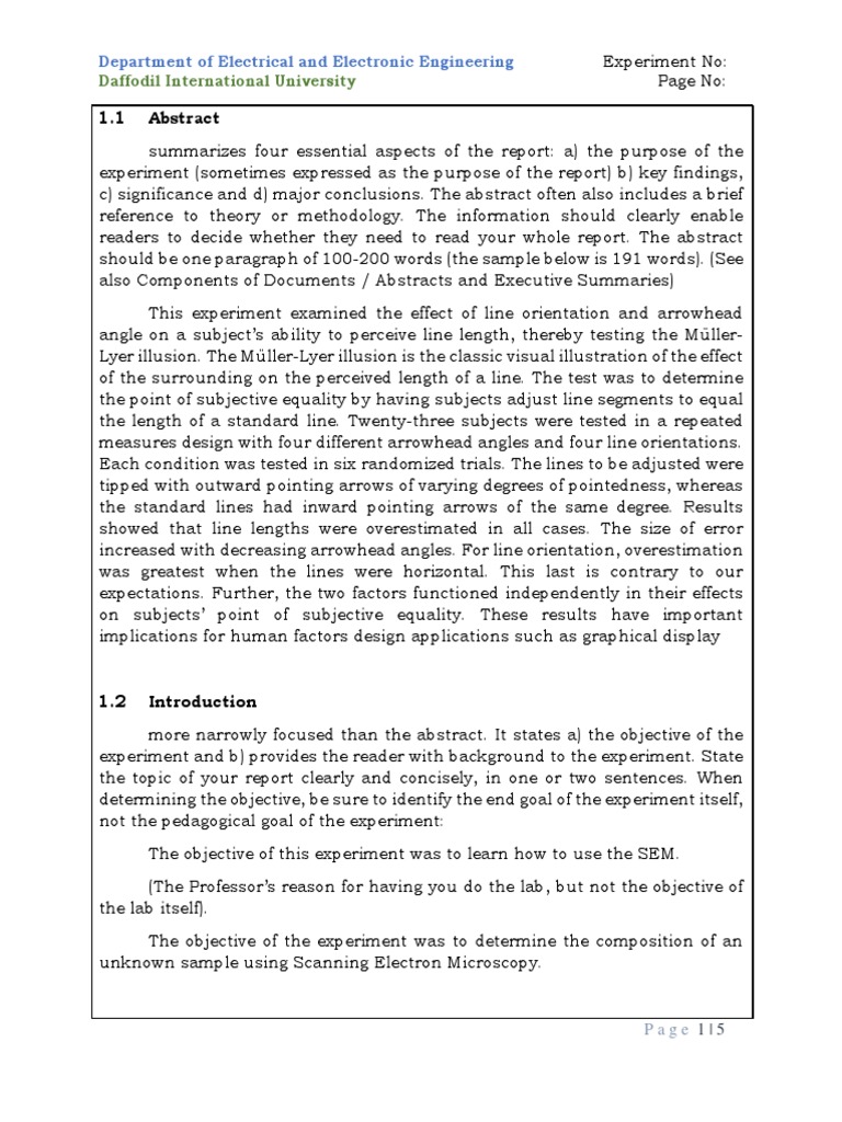 (Sample) Lab Report Template - Body Page (Programming Lab) | PDF ...
