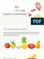 Importanța Fructelor False Pentru Om Și Natură
