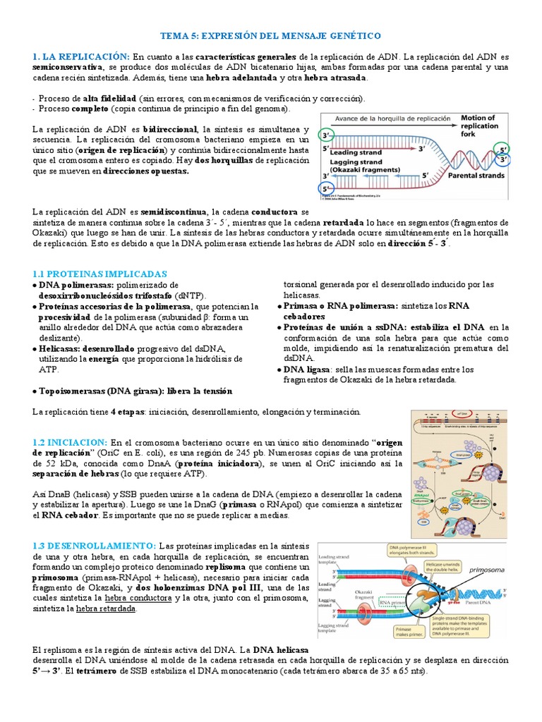 Tema 5 - Biología Molecular | PDF | Replicación De Adn | Codigo genetico