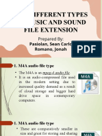 Different Types of Music and Sound File Extension (PASIOLAN&ROMANO)