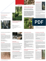 Wald-Wild-Jagd Folder 8seitig Final