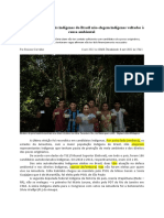 Porque Os Estados Mais Indígenas Do Brasil Não Elegem Indígenas Voltados À Causa Ambiental