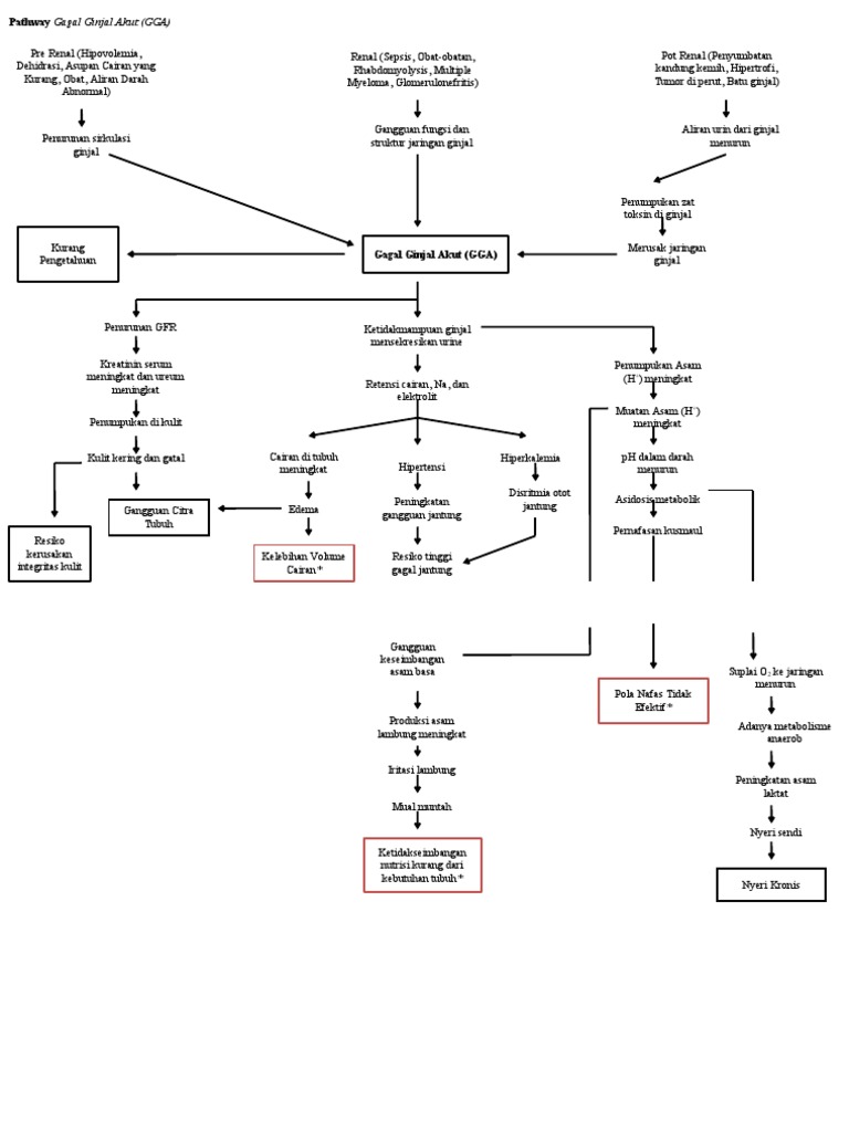 Pathway Gagal Ginjal Akut dan Kronik | PDF