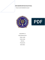 Makalah Sistem Reproduksi Manusia Kel 10