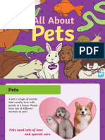 Pet Powerpoint