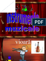 instrumente (1)
