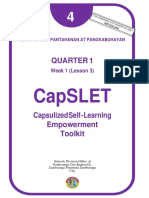 Quarter 1: Capslet