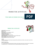 proiect_de_activitate_inspectie_mitrache_stela_dos (2)