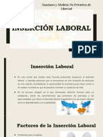 Insercion Laboral y Curriculum Vitae