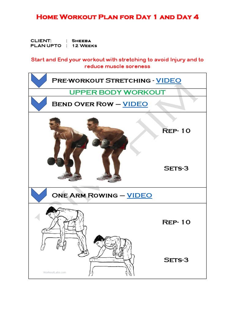 A TwoDay Upper Body Home Workout Routine Focusing on Rows, Pushups, Shoulder and Arm Exercises