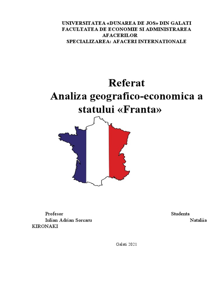 Analiza Geografico-Economica A Frantei | PDF