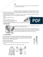 Guia Comprension Lectora Pubertad Adaptada 1 1