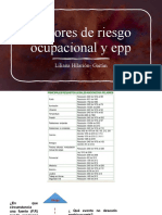 Factores de Riesgo Ocupacional y Epp