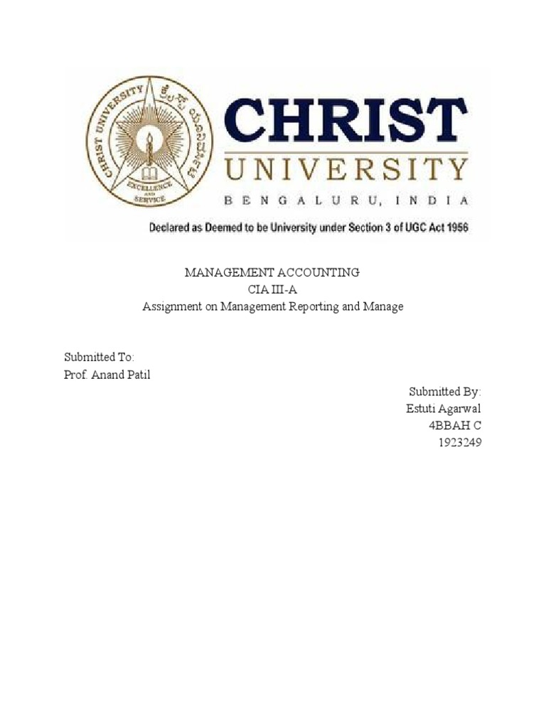 Management Reporting Pdf Audit Goal